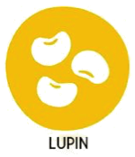 Allergène Lupin