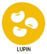Allergène Lupin